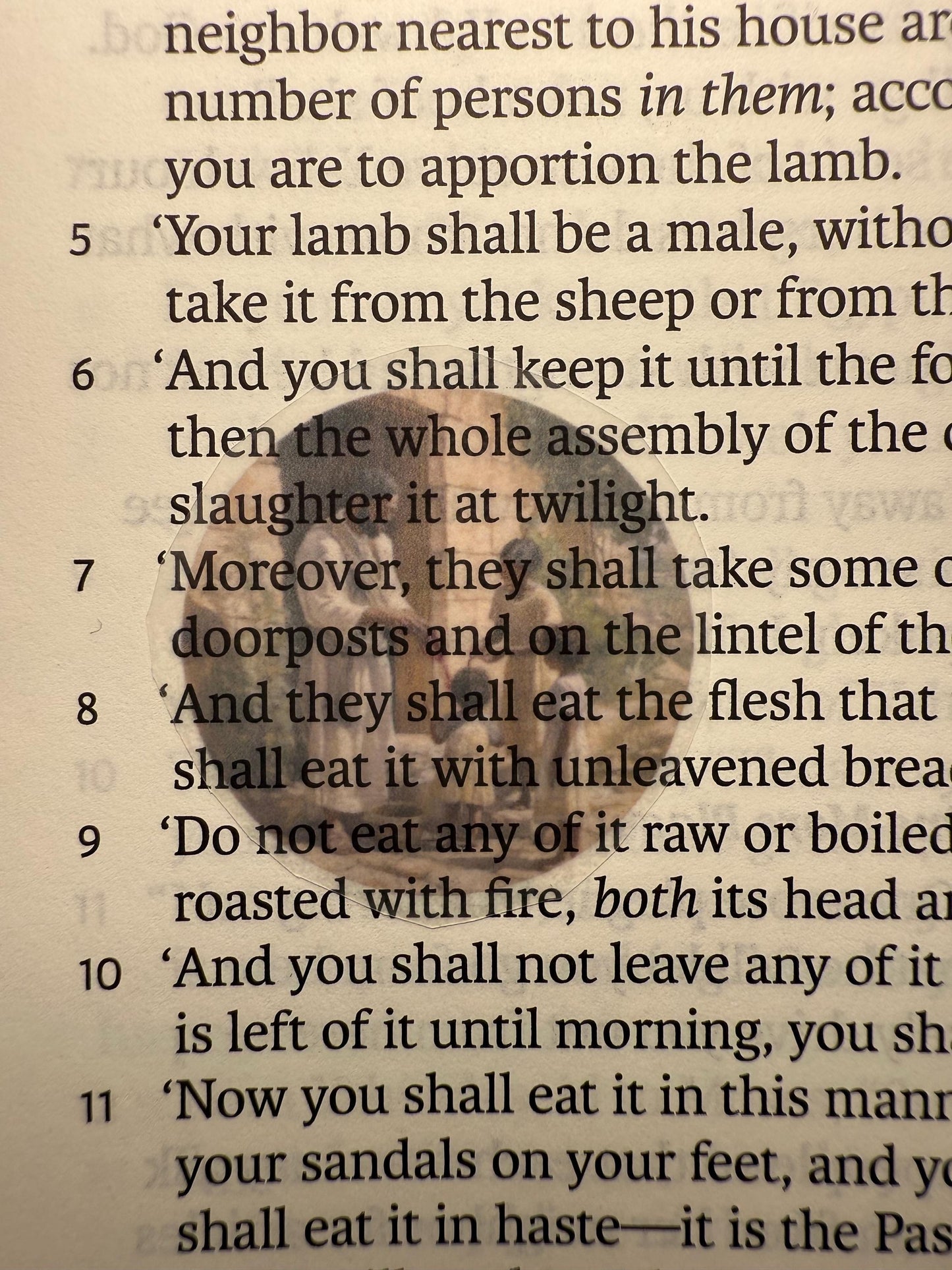 Mini Bible Stickers - Old Testament Scripture Stickers