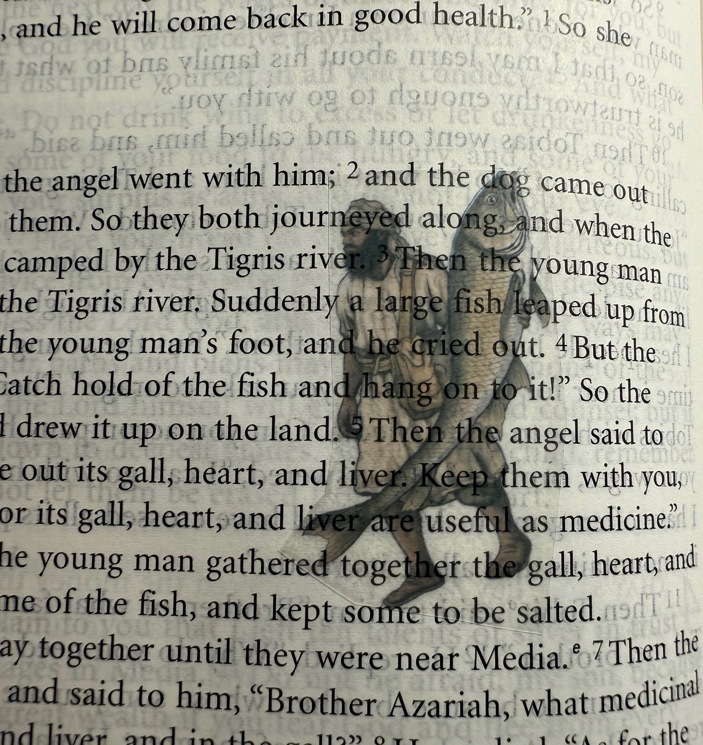 Apocrypha Bible Stories - Clear Scripture Stickers