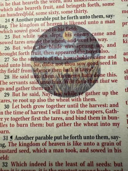 Mini Bible Stickers - Jesus Christ Parables and Miracles Scripture Stickers