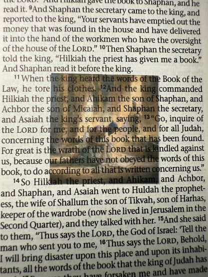 Mini Bible Stickers - Old Testament Set #2 Scripture Stickers