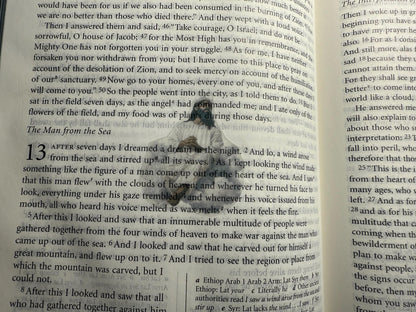 Apocrypha Bible Stories - Clear Scripture Stickers