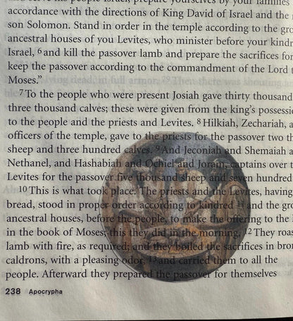 Apocrypha Bible Stories - Clear Scripture Stickers