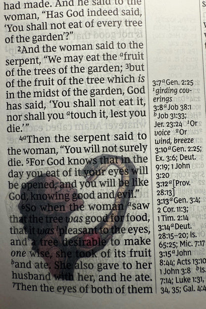 Women In the Bible Stories - Clear Scripture Stickers